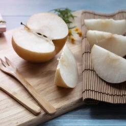 20th Century (Nijisseiki) Asian Pear -Blooming Yard 20thCentury Pear 1 FGT