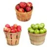 3-in-1 Apple Tree -Blooming Yard 3 in 1 Apple 600x600 9edf9e9a ce86 4b58 beb9 2946adf65064