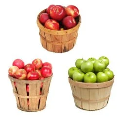 Blooming Yard 53 3-in-1 Apple Tree