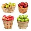 4-in-1 Apple Tree -Blooming Yard 4 in 1 Apple 600x600 f3045961 5398 4298 ab46 f05694ca30e3