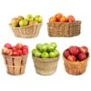5-in-1 Apple Tree -Blooming Yard 5 in 1 Apple 600x600 7aa95aa9 ebc1 4f49 a1e8 94e9b1d7155c