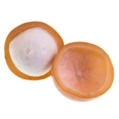 Achacha Fruit Tree -Blooming Yard Achacha 2