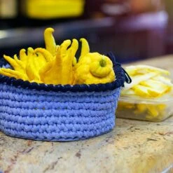 Buddha's Hand Citron -Blooming Yard BUddhas Hand Citrus 6 FGT