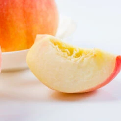 Belle Of Georgia Peach Tree (USDA Organic) -Blooming Yard Belle of Georgia 3