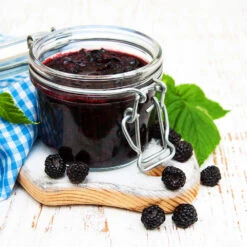 Big Daddy Blackberry Bush 9 Big Daddy Blackberry Bush -Blooming Yard Big Daddy Blackberry 3