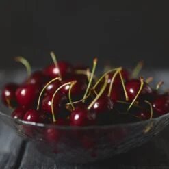 Black Tartarian Cherry Tree -Blooming Yard Black Tartarian Cherry Tree 2 FGT