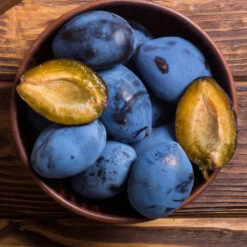 Brooks Plum Tree -Blooming Yard Brooks Plum 2