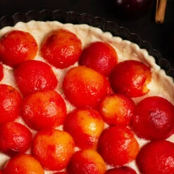 Bubblegum 'Toka' Plum Tree 11 Bubblegum 'Toka' Plum Tree -Blooming Yard Bubblegum Toka Plum 3