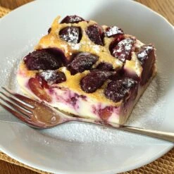 Burgundy Plum Tree -Blooming Yard Burgundy Plum 3