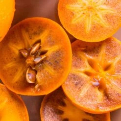 Chocolate Persimmon Tree -Blooming Yard CHocolate Persimmon 2