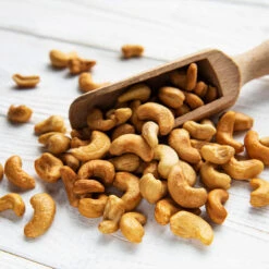 Cashew Tree -Blooming Yard Cashew Nut Tree 5