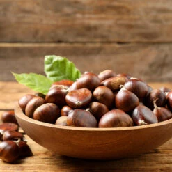 Chinese Chestnut Tree -Blooming Yard Chinese Chestnut 3 FGT