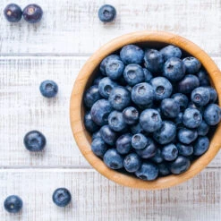 Climax Blueberry - USDA Organic -Blooming Yard Climax Blueberry 4 6dff9fe5 d11c 4867 ac6f bf49cd37acb5