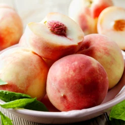 Early White Giant Peach Tree -Blooming Yard Early White Giant Peach Tree 450 D1