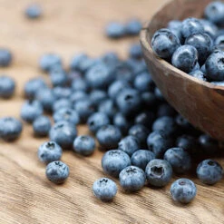 Emerald Blueberry Bush -Blooming Yard Emerald Blueberries 1