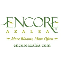 Autumn Belle® Encore® Azalea Shrub -Blooming Yard Encore Logo 1000x1000 f5ab977c d52a 42c7 bcc7 eb2c9ea0b488