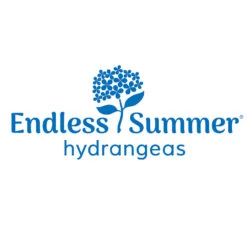 Endless Summer® Summer Crush® Hydrangea -Blooming Yard Endless Summer Hydrangeas 1000x1000 347a4889 45a5 42f4 94f1 e0220955e380