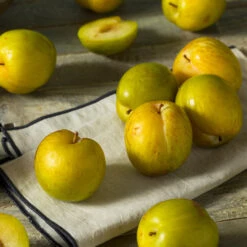 Flavor Queen Pluot® -Blooming Yard Flavor Queen Pluot 1