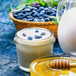 Indigo Gem Haskap (Honeyberry) -Blooming Yard Indigo GEm Haskap 1