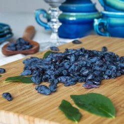 Indigo Treat Haskap (Honeyberry) -Blooming Yard Indigo Treat Hascap 2 BB