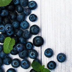 Jewel Blueberry Bush -Blooming Yard Jewel Blueberry 2