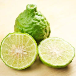 Kaffer 'Kieffer' Lime Tree -Blooming Yard Kaffir Lime 7 FGT