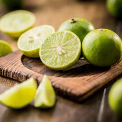 Key Lime Tree -Blooming Yard Key Lime Tree 5 FGT