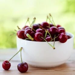 Lapins Cherry Tree -Blooming Yard Lapins Cherry Tree 2 FGT 325a18e6 7143 4729 a41b b0d9614909b8