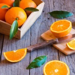 Midknight Valencia Orange -Blooming Yard MidKnight Orange 3 FGT