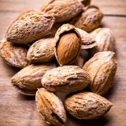 Nonpareil Almond Tree -Blooming Yard Nonpareil Almonds 3