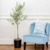 Oliana Olive Tree -Blooming Yard Oliana Olive 600x600 6f3a3c9f e168 44ff aa92 eb7e474a89dc