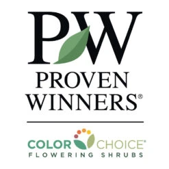 Bloomerang® Lilac Shrub -Blooming Yard PW Logo CC 1000x1000 0a4307e5 97de 497d 96d7 36cc82ea5dc1