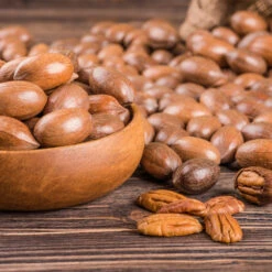 Pawnee Pecan Tree -Blooming Yard Pawnee Pecan 4 FGT