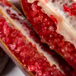 Red Finger Lime Tree -Blooming Yard Red FInger Lime 1 1453b836 c1a1 4844 92f1 11e49d09cc4d