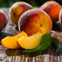 Red Baron Peach Tree -Blooming Yard Red Baron Peach 4