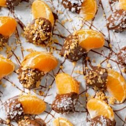 Robertson Navel Orange 12 Robertson Navel Orange -Blooming Yard Robertson Navel Orange 6