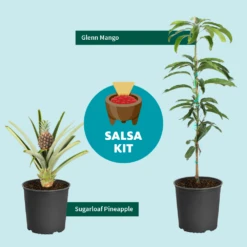 Salsa Kit -Blooming Yard SalsaKitGraphic