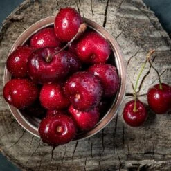 Santina™ Cherry Tree -Blooming Yard Santina Cherry 1