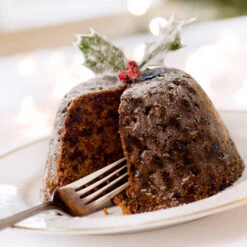 Satsuma Plum Tree -Blooming Yard Satsuma Plum 4