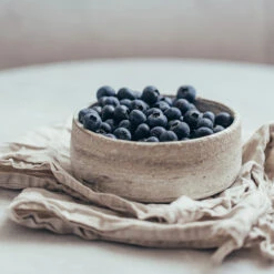 Sharpblue Blueberry Bush -Blooming Yard Sharpblue Blueberry 1