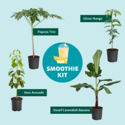 Smoothie Kit -Blooming Yard SmoothieKitGraphic