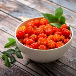 Star Cherry Tree (Pitanga) 11 Star Cherry Tree (Pitanga) -Blooming Yard Star Cherry 3 FGT