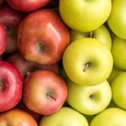 4-in-1 Apple Surprise Tree 8 4-in-1 Apple Surprise Tree -Blooming Yard Surprise Apple 1 fd4b319d eb68 4ca8 b9dc 6ed8dd5560c3