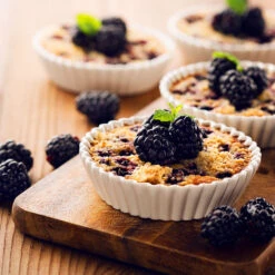 Thornless Blackberry -Blooming Yard Thornless Blackberry 2