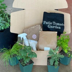 Patio Tomato Garden -Blooming Yard Tomato Garden kit 2