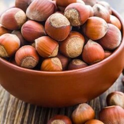 Tonda Di Giffoni Filbert -Blooming Yard Tonda Hazelnuts 400 2