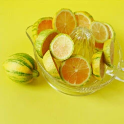 Pink Variegated Eureka Lemon Tree 12 Pink Variegated Eureka Lemon Tree -Blooming Yard Variegated Pink Eureka 3