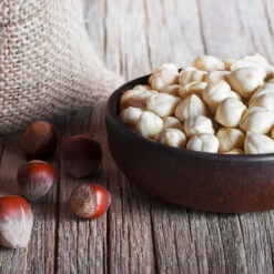 York Filbert Hazelnut 12 York Filbert Hazelnut -Blooming Yard York Hazelnut 5